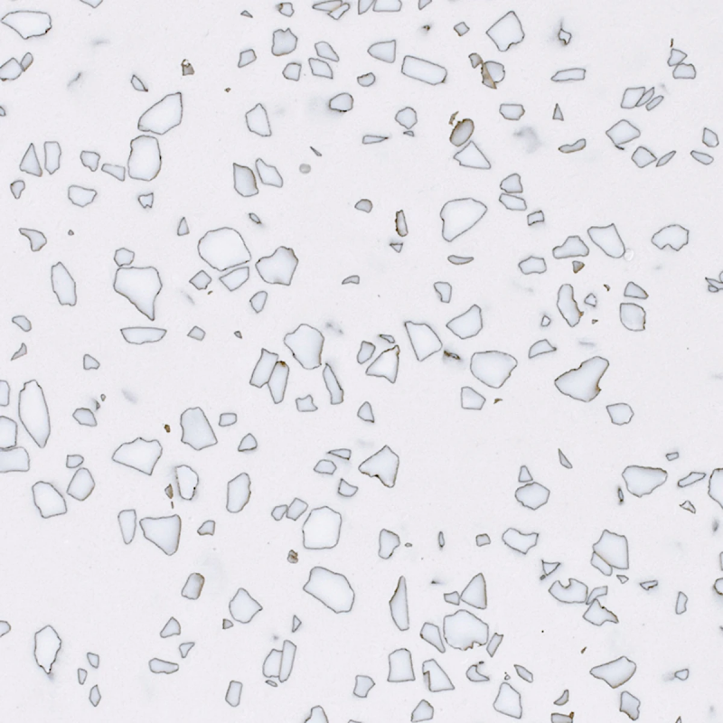 Dalmatian QD212