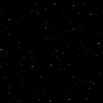 Perna Black P004